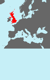 Excess map on the bottom.